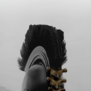 ANSSS444